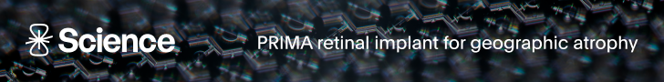 Floretina Banner