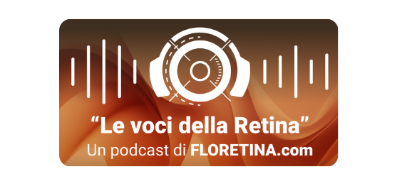 Il distacco di retina
